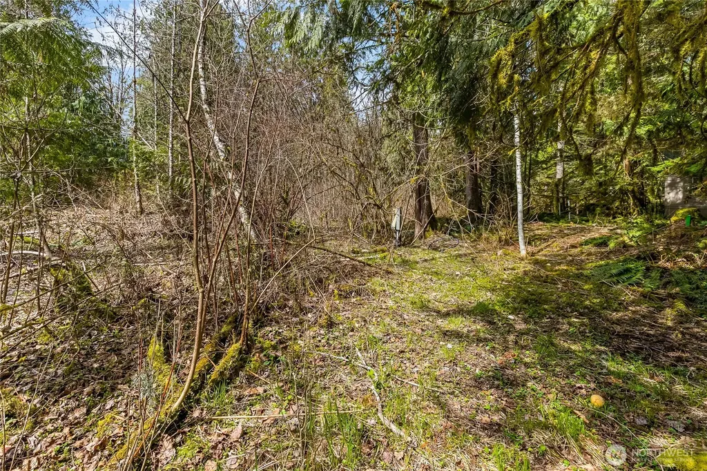 17045 Iceberg Road Glacier WA 98244
