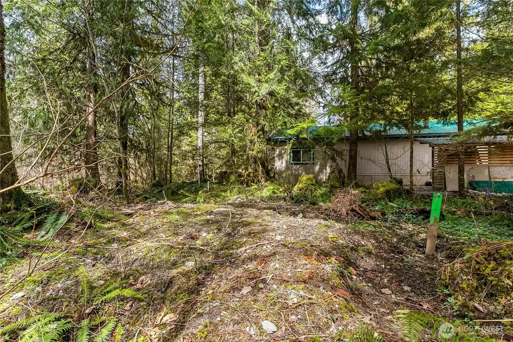 17045 Iceberg Road Glacier WA 98244