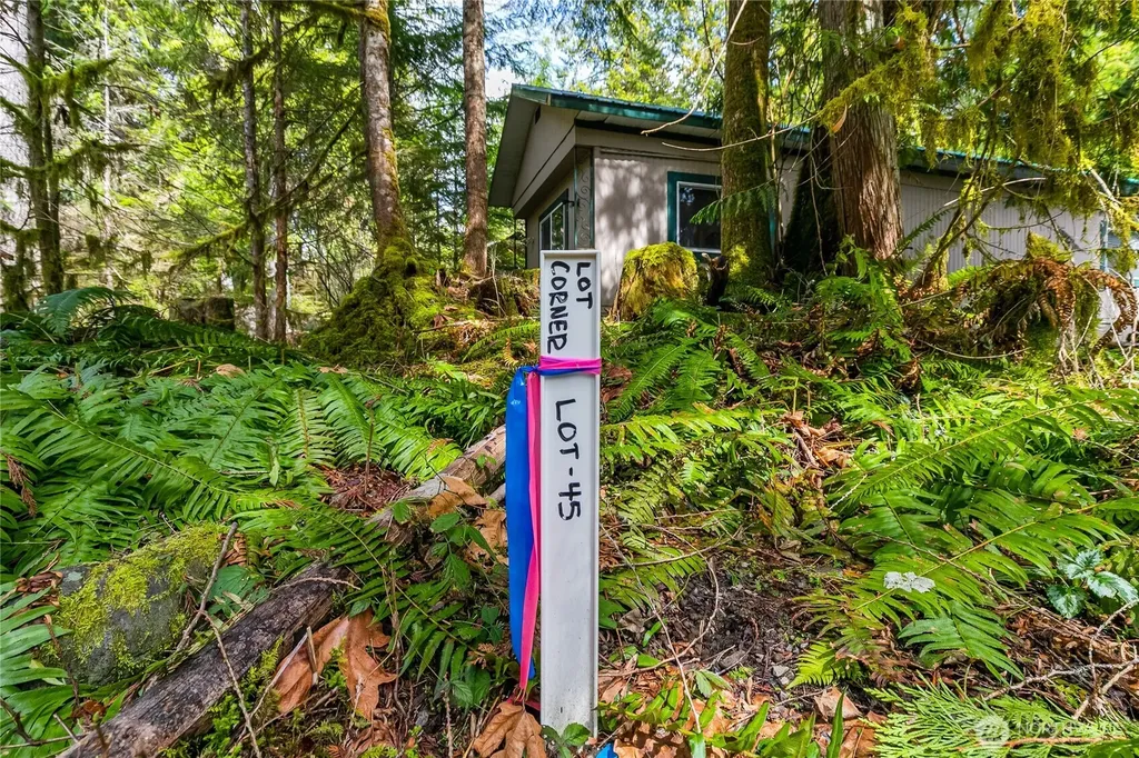 17045 Iceberg Road Glacier WA 98244