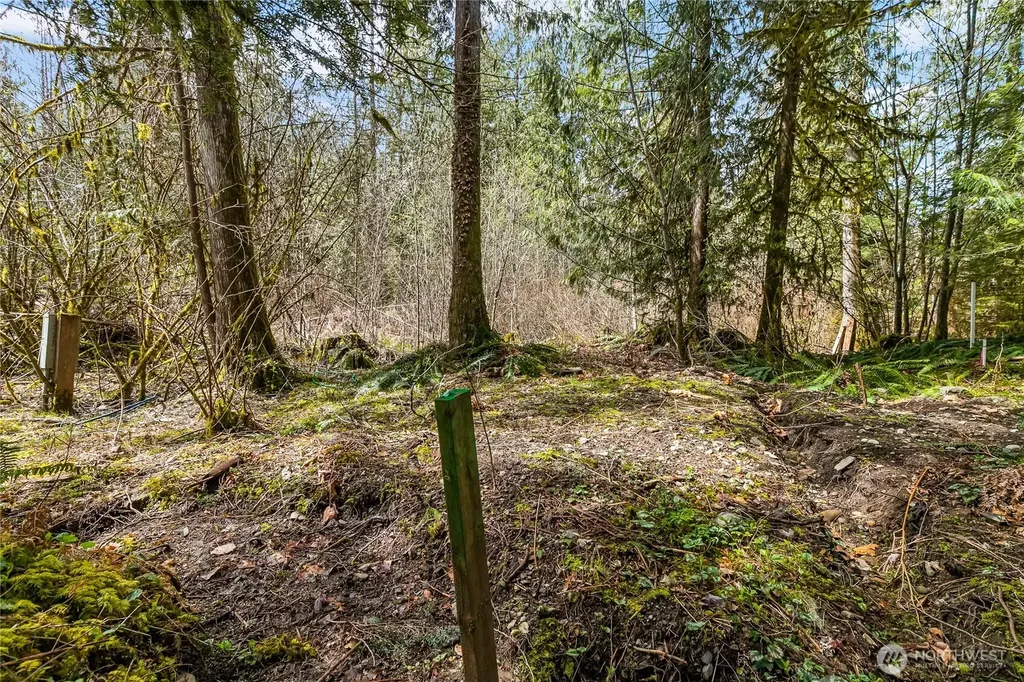 17045 Iceberg Road Glacier WA 98244