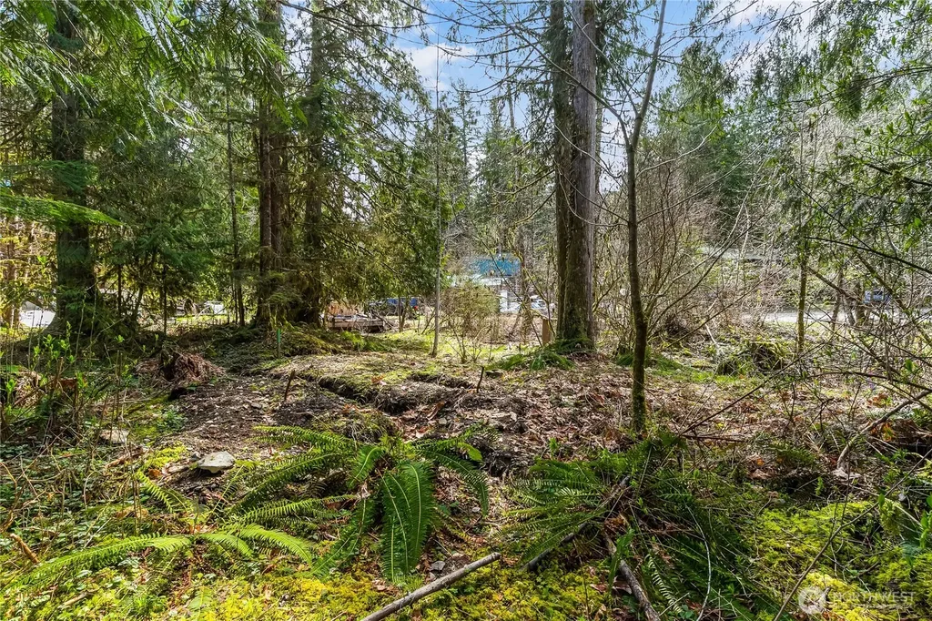 17045 Iceberg Road Glacier WA 98244