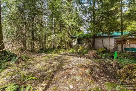 17045 Iceberg Road Glacier WA 98244