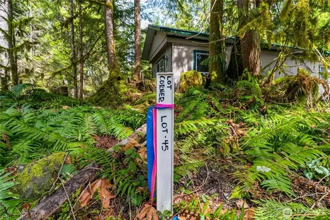 17045 Iceberg Road Glacier WA 98244