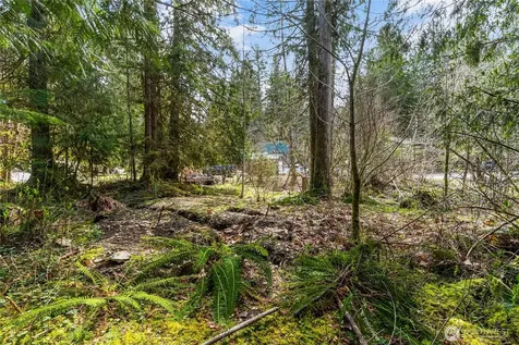 17045 Iceberg Road Glacier WA 98244