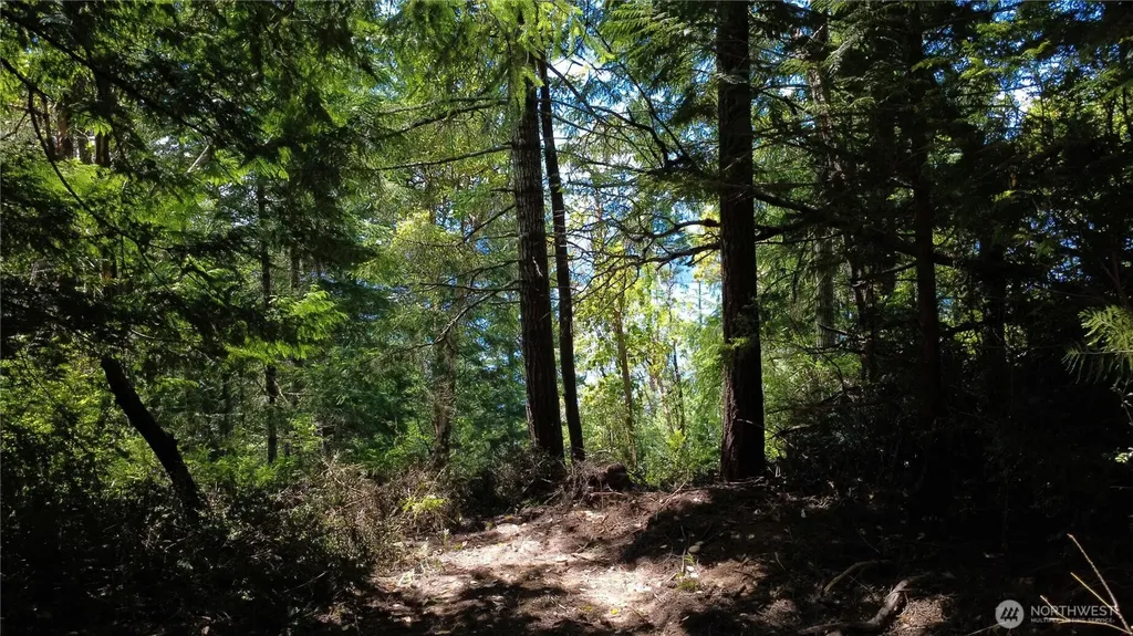1 Foxglove Lane Quilcene WA 98376