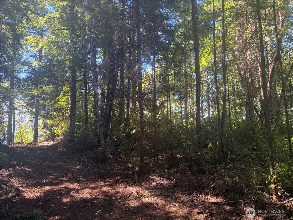 1 Foxglove Lane Quilcene WA 98376