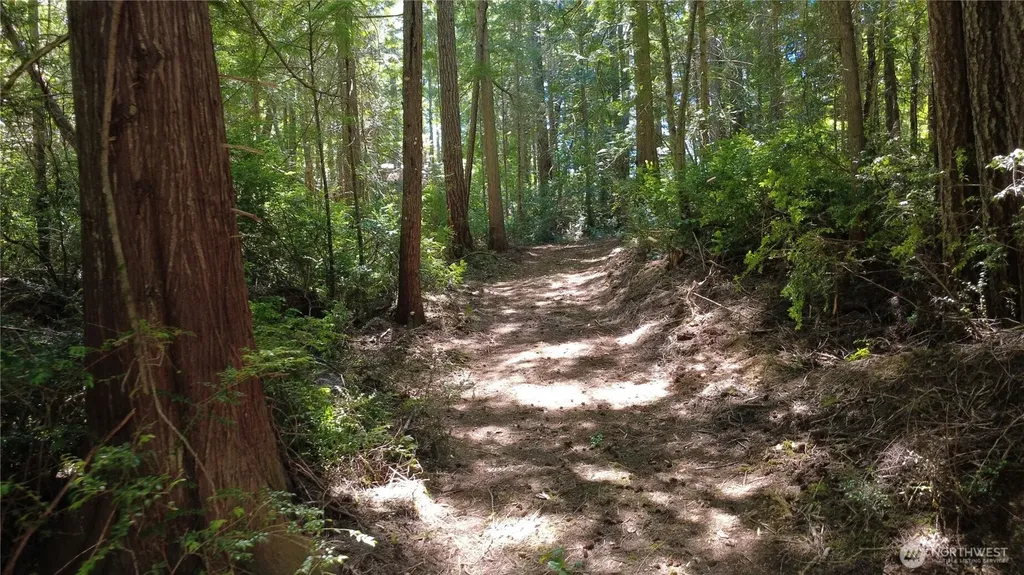 1 Foxglove Lane Quilcene WA 98376