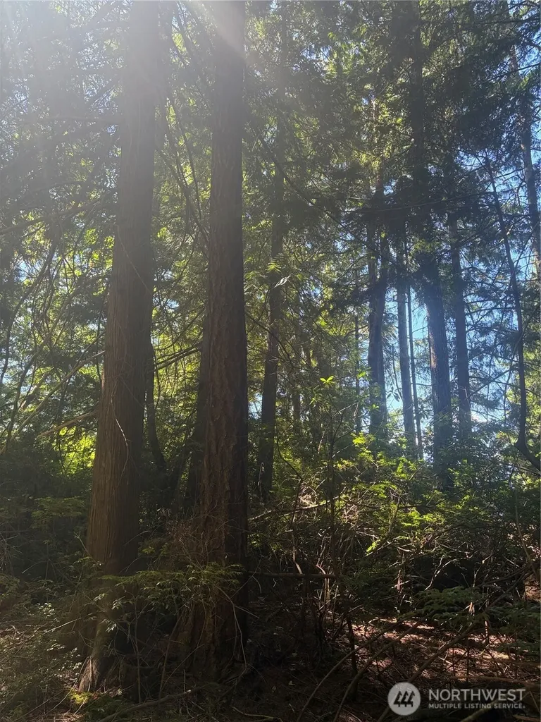 1 Foxglove Lane Quilcene WA 98376