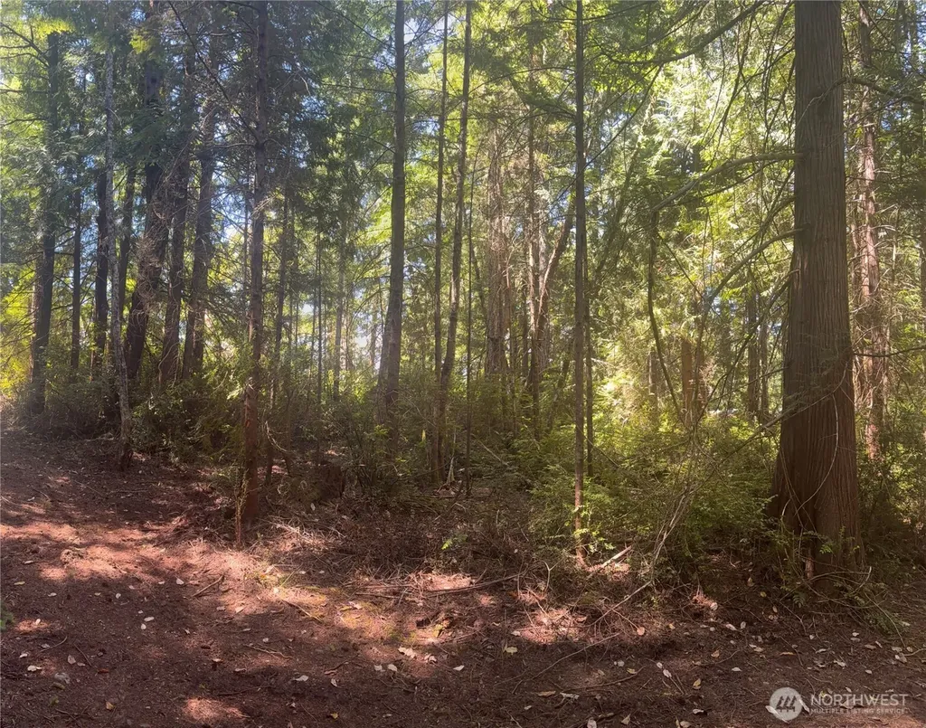 1 Foxglove Lane Quilcene WA 98376