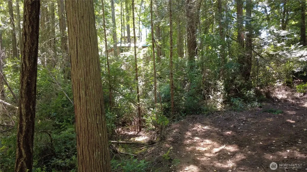 1 Foxglove Lane Quilcene WA 98376