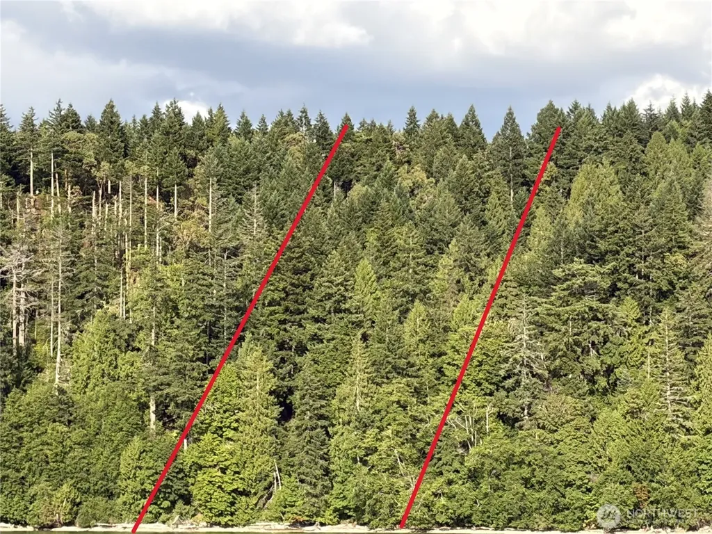 1 Foxglove Lane Quilcene WA 98376