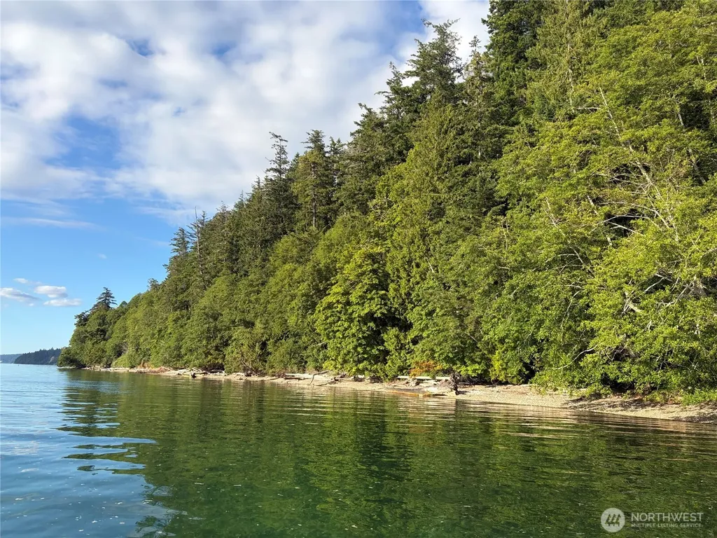 1 Foxglove Lane Quilcene WA 98376