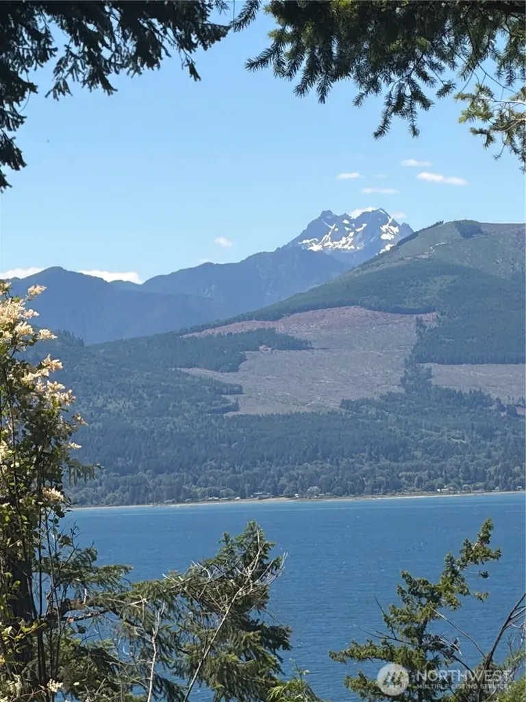 1 Foxglove Lane Quilcene WA 98376