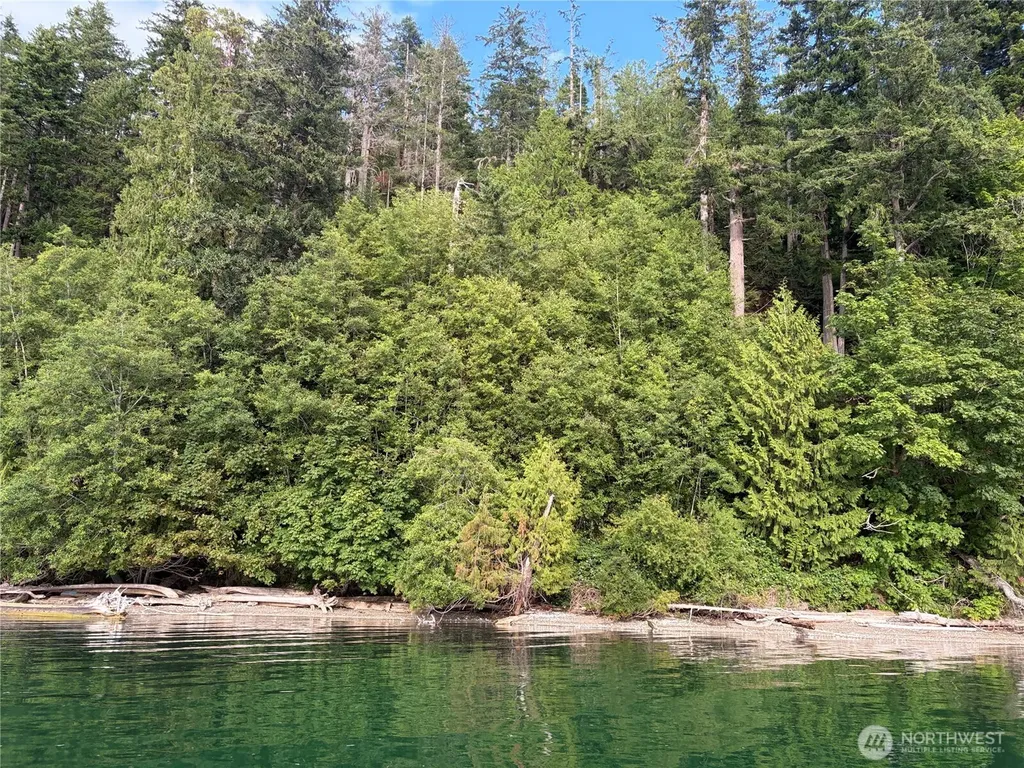 1 Foxglove Lane Quilcene WA 98376
