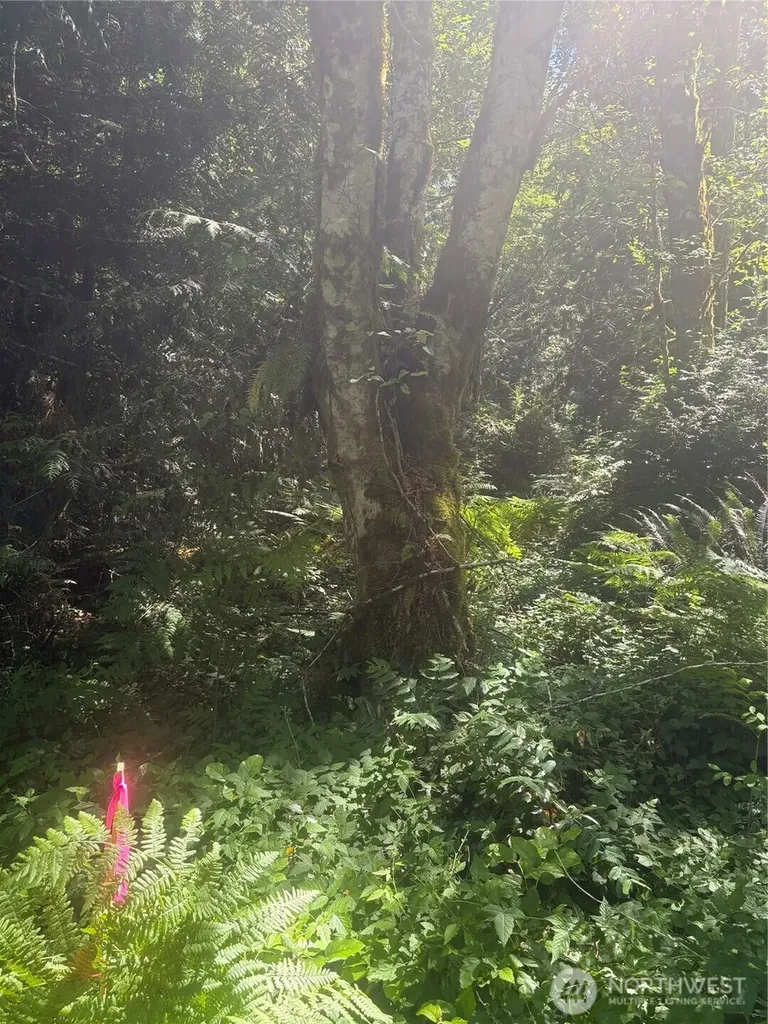 1 Foxglove Lane Quilcene WA 98376