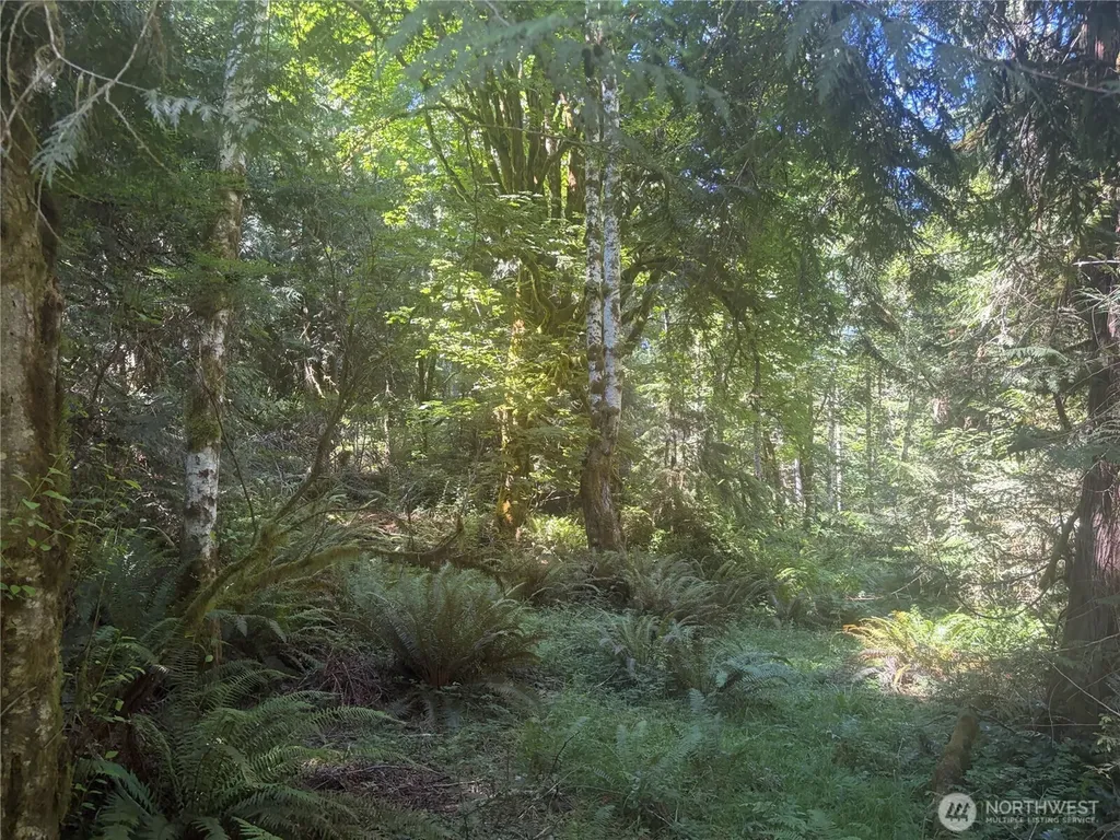 1 Foxglove Lane Quilcene WA 98376