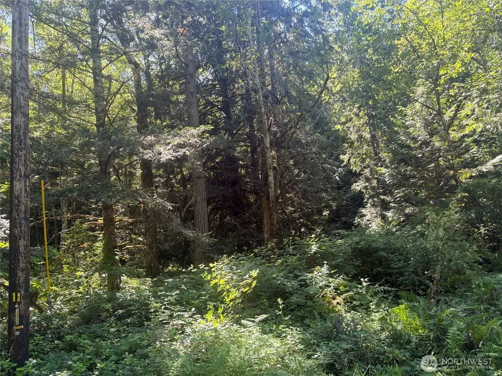 1 Foxglove Lane Quilcene WA 98376