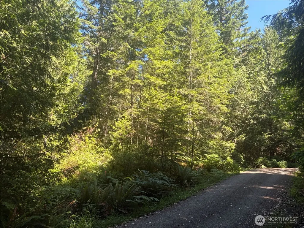 1 Foxglove Lane Quilcene WA 98376