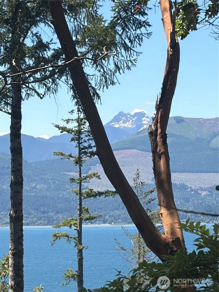 1 Foxglove Lane Quilcene WA 98376