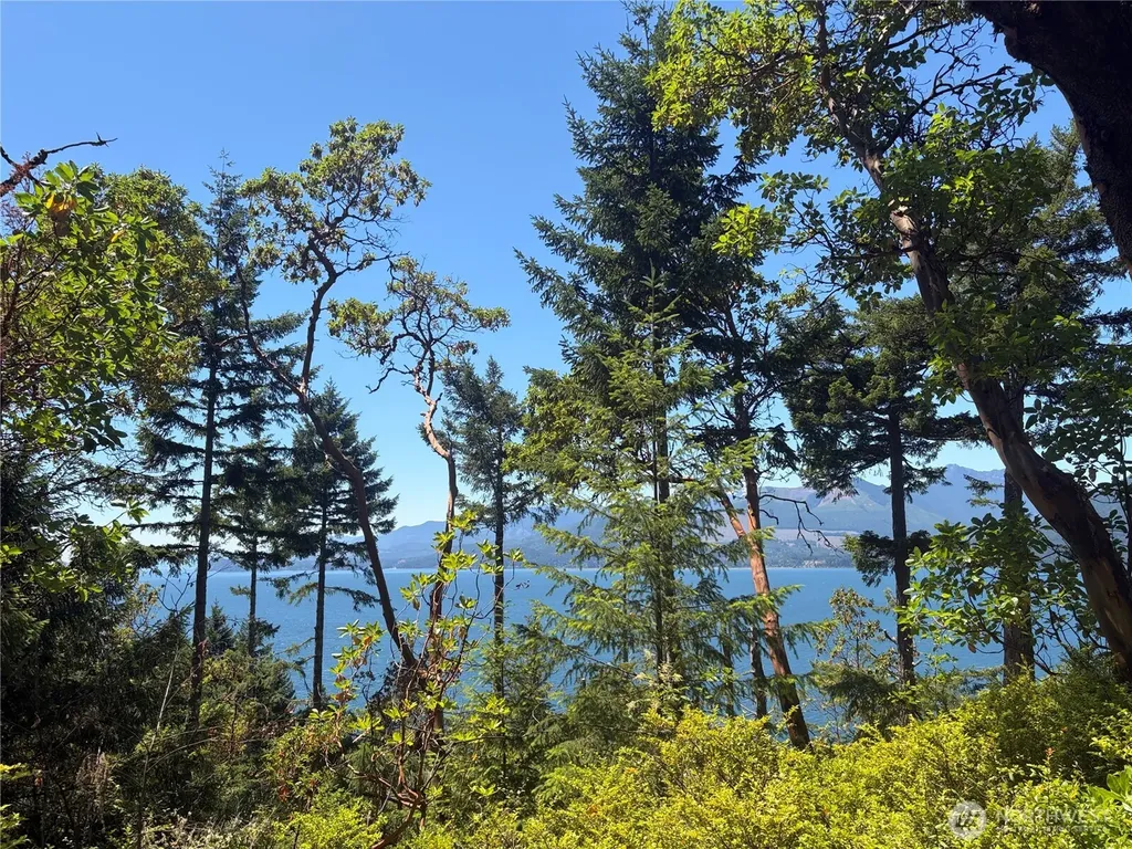 1 Foxglove Lane Quilcene WA 98376