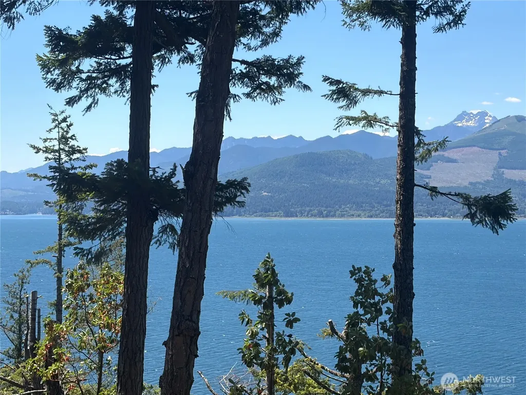 1 Foxglove Lane Quilcene WA 98376