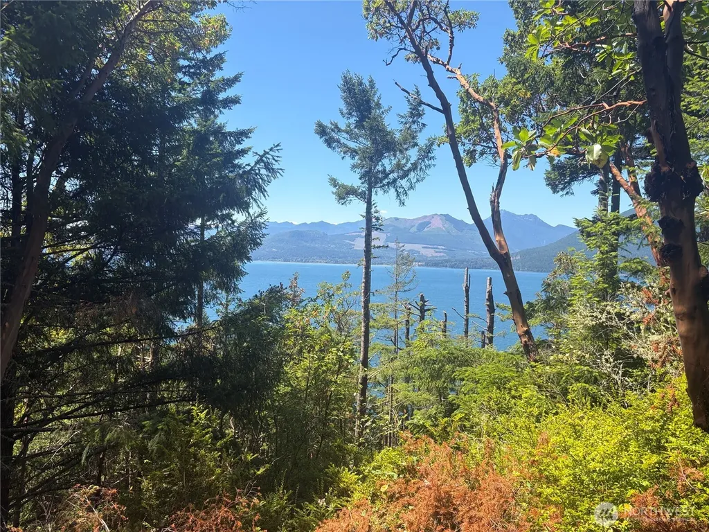 1 Foxglove Lane Quilcene WA 98376