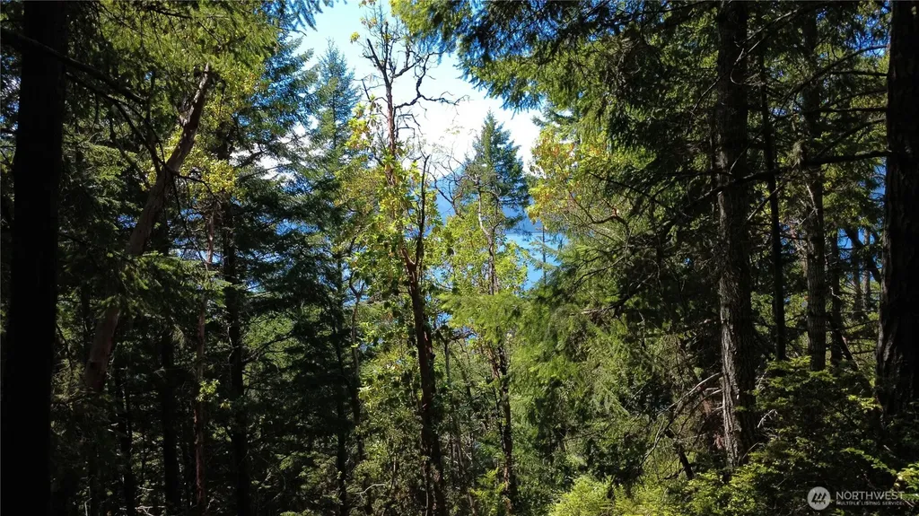 1 Foxglove Lane Quilcene WA 98376