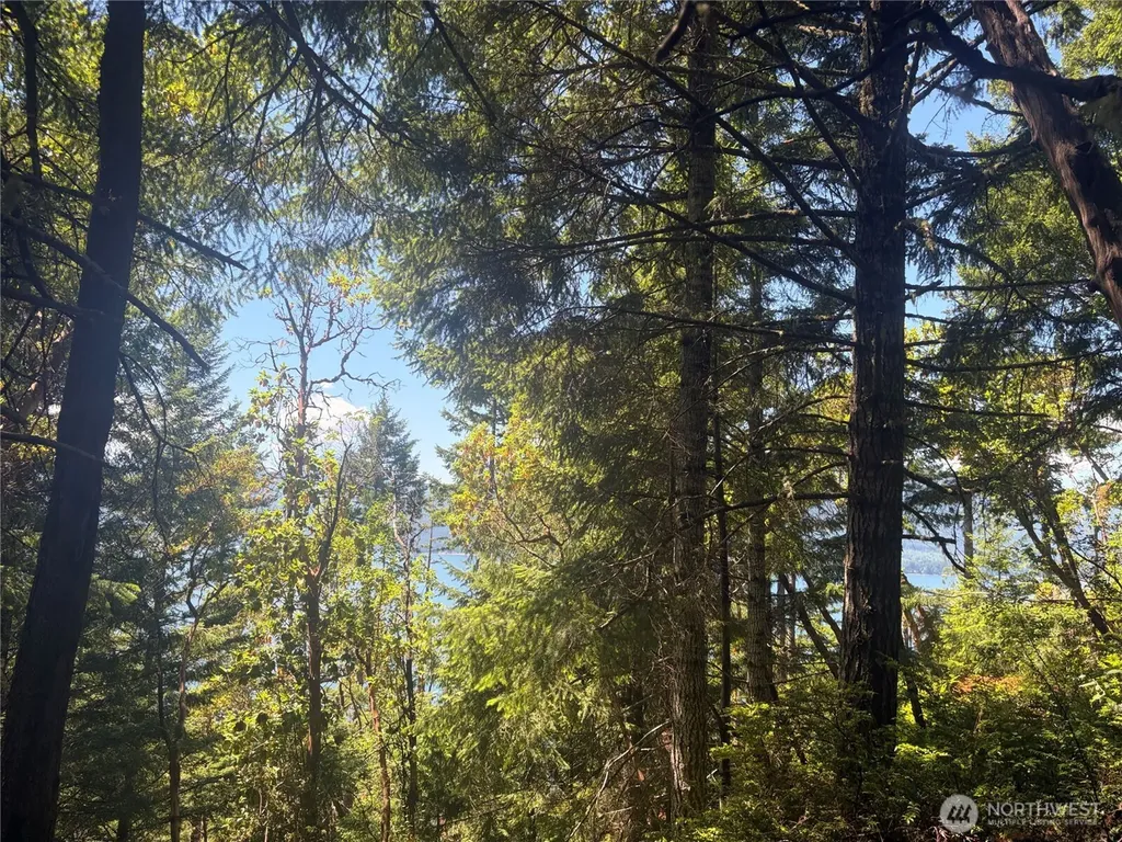 1 Foxglove Lane Quilcene WA 98376