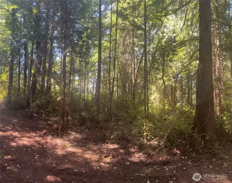 1 Foxglove Lane Quilcene WA 98376