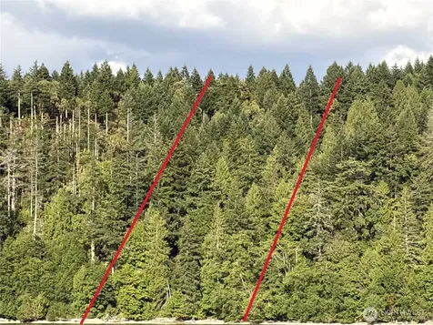 1 Foxglove Lane Quilcene WA 98376