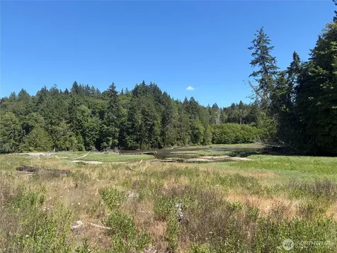 1 Foxglove Lane Quilcene WA 98376