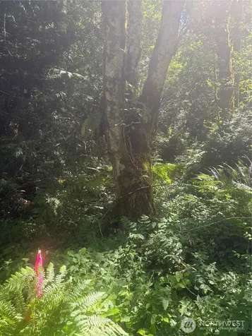 1 Foxglove Lane Quilcene WA 98376