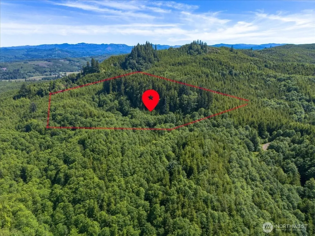 0 Cottardi Heights Road Rosburg WA 98643