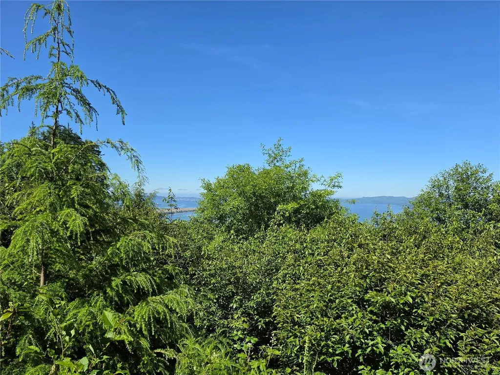 0 Cottardi Heights Road Rosburg WA 98643