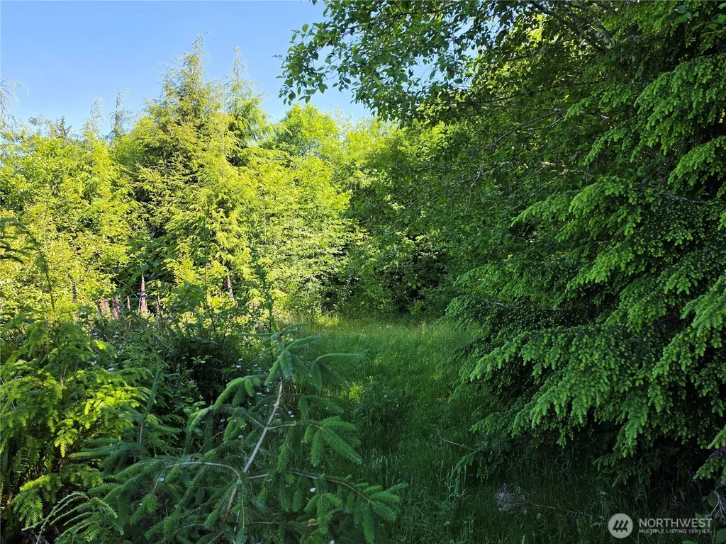 0 Cottardi Heights Road Rosburg WA 98643