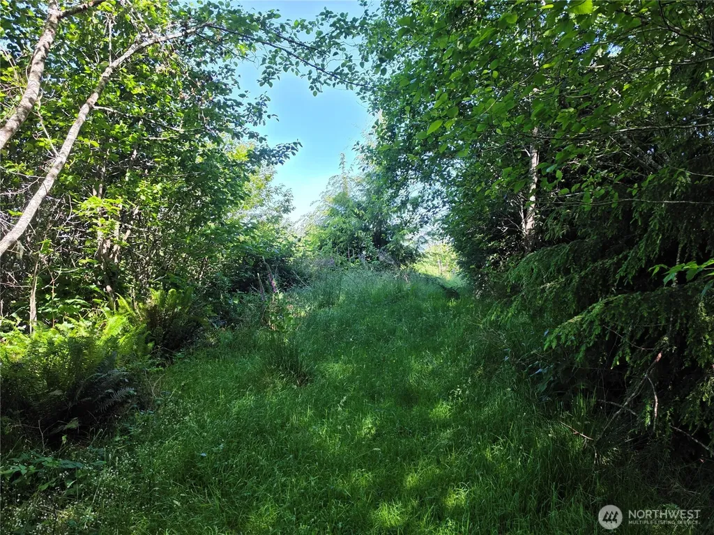 0 Cottardi Heights Road Rosburg WA 98643