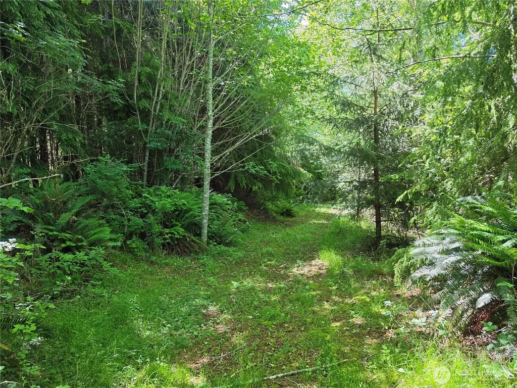 0 Cottardi Heights Road Rosburg WA 98643