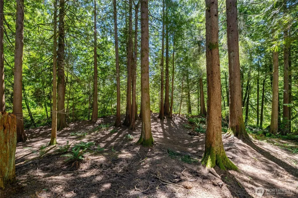 2722 Butler Creek Road Sedro Woolley WA 98284