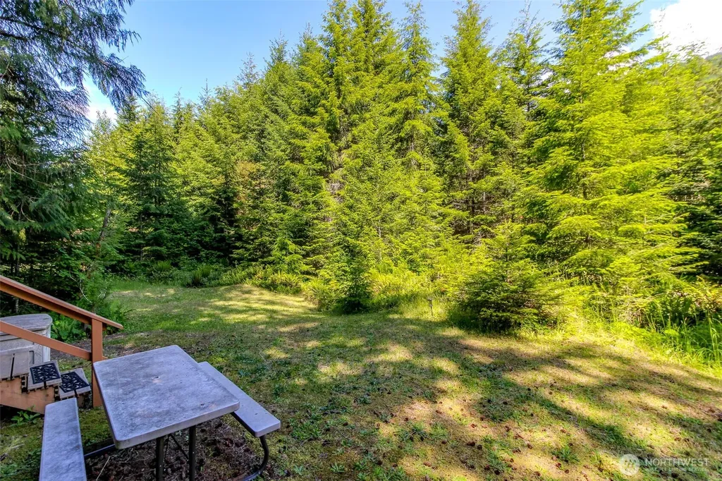 38115 564th St Ct E Ashford WA 98304