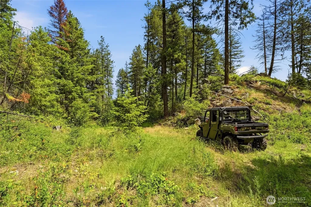 Deer Park WA 99006