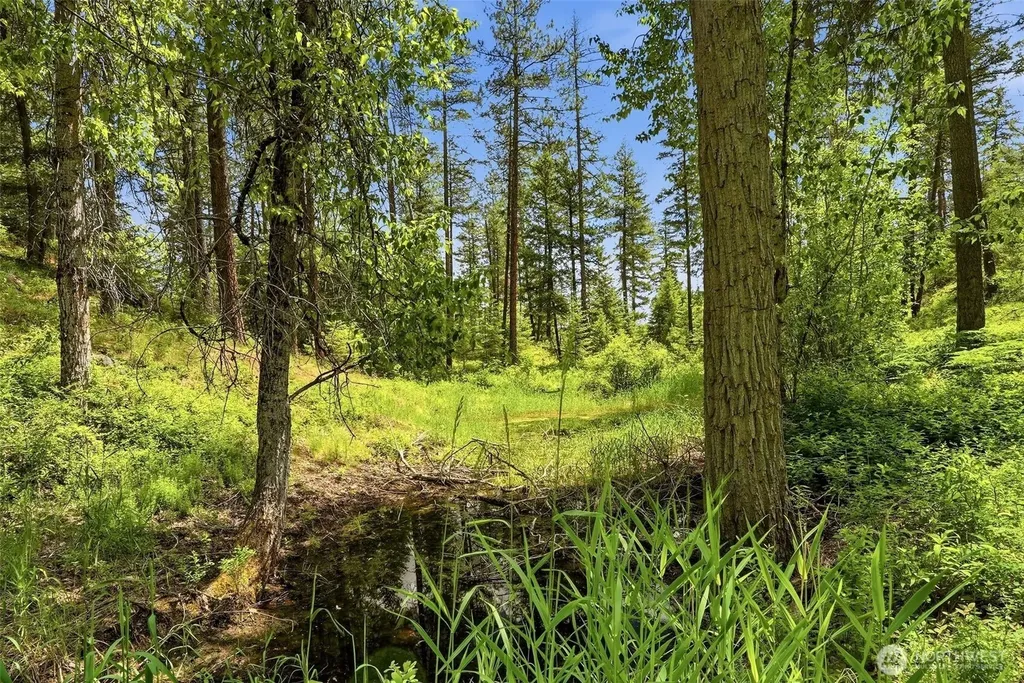 Deer Park WA 99006