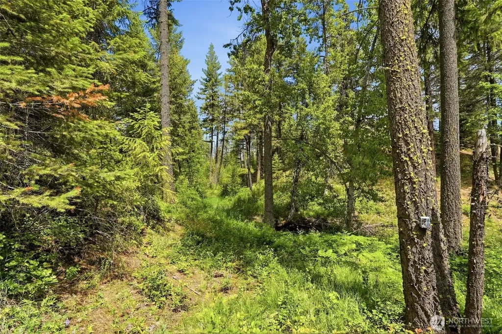 Deer Park WA 99006