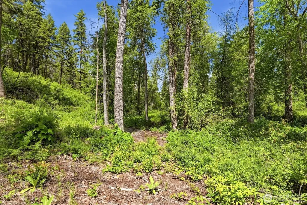 Deer Park WA 99006