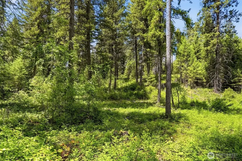 Deer Park WA 99006