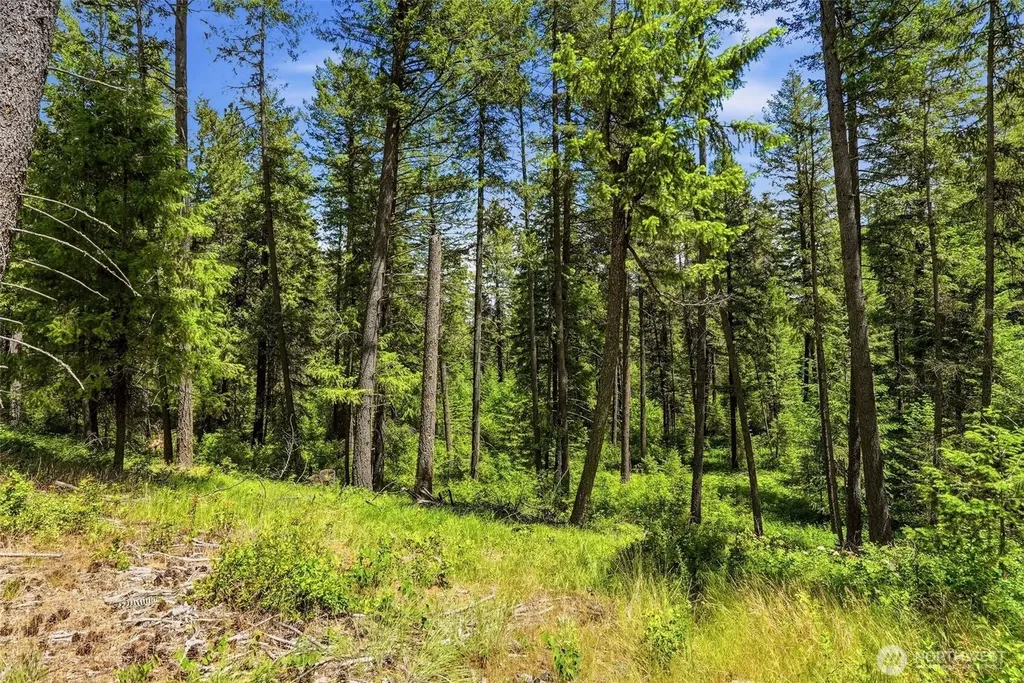 Deer Park WA 99006
