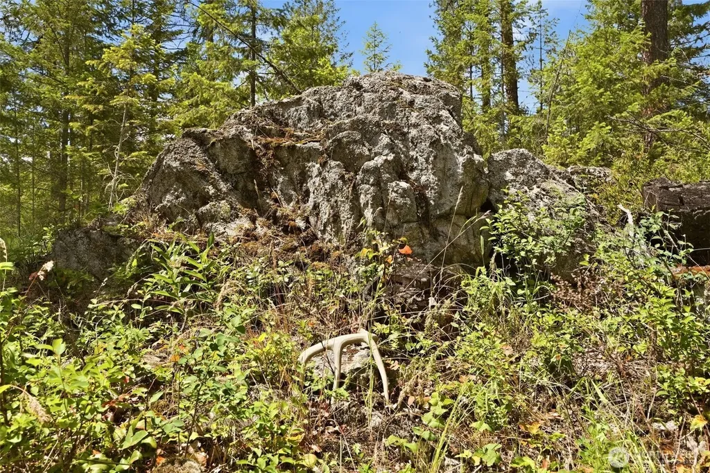Deer Park WA 99006