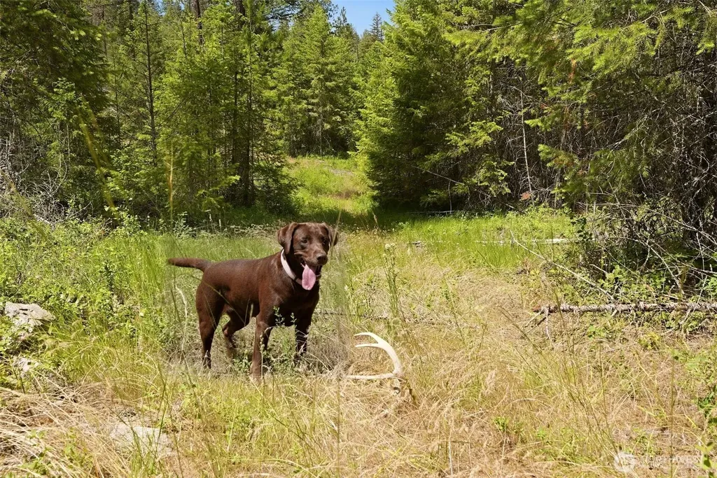 Deer Park WA 99006