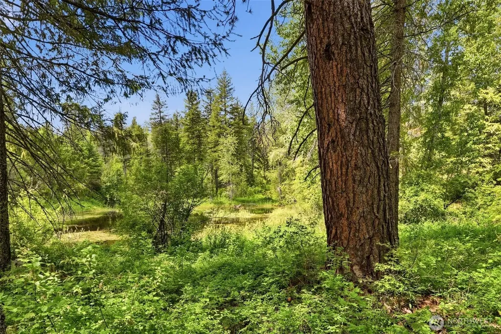 Deer Park WA 99006