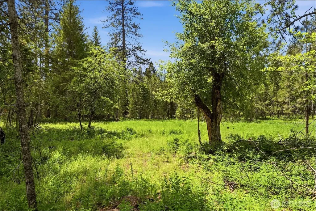 Deer Park WA 99006
