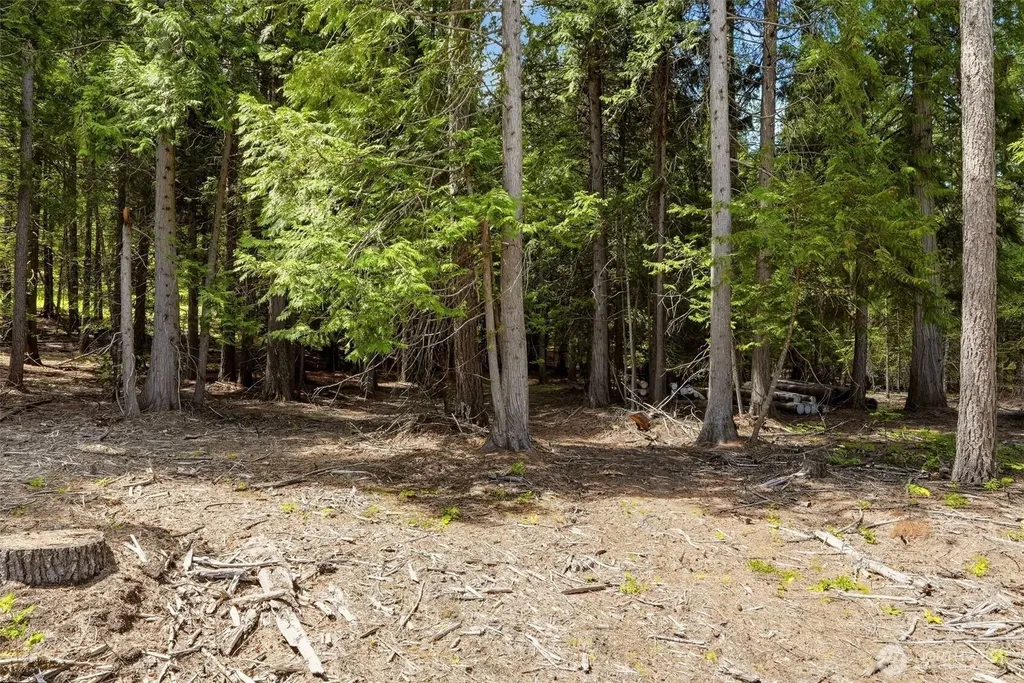 Deer Park WA 99006